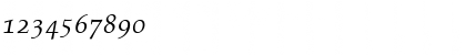 PalatinoOldStyleFigures RomanItalic Font PalatinoOldStyleFigures RomanItalic Font