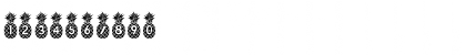 Pineapple_Mono Regular Font Pineapple_Mono Regular Font