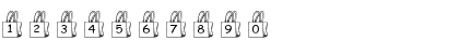 pf_bag1 Regular Font