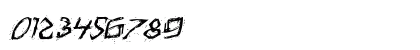 Assassin Nation Italic Italic