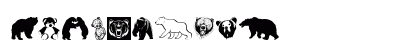 Bear Icons Regular