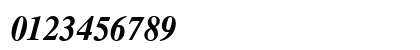 CG Times Bold Italic