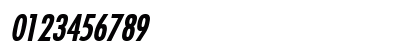 Fuji Bold Italic Fuji Bold Italic