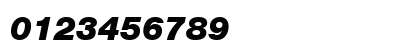 Helvetica Neue Black Italic Helvetica Neue Black Italic
