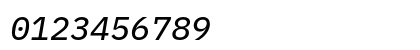 IBM Plex Mono Text Italic