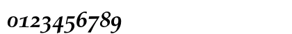 Palatino Bold Italic Old Style Figures