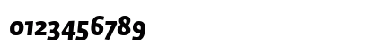 Auto 1 Black Italic Auto 1 Black Italic
