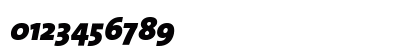 The Sans Black- Black Italic The Sans Black- Black Italic