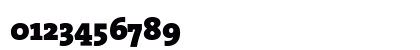 The Serif Black- Black Plain The Serif Black- Black Plain