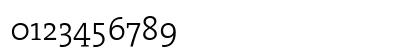 The Serif Light- Light Plain The Serif Light- Light Plain