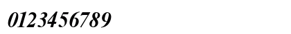 NimbusRomDGR Bold Italic NimbusRomDGR Bold Italic