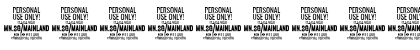 Mainland PERSONAL Bold Italic Font