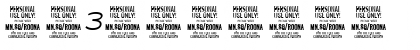 Roona Sans Light PERSONAL Italic Font
