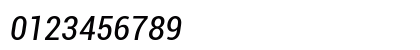 Roboto Condensed Italic Roboto Condensed Italic