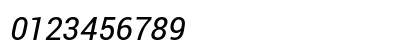 Roboto Italic Roboto Italic