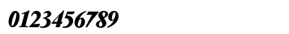 V691-Roman BoldItalic