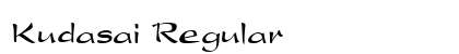 Kudasai Regular
