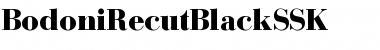 BodoniRecutBlackSSK Regular Font