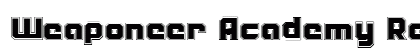 Weaponeer Academy Regular preview