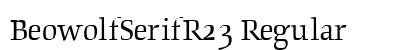 BeowolfSerifR23 Regular preview