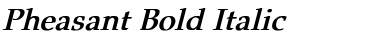 Pheasant Bold Italic Font