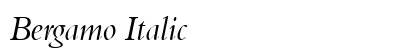 Bergamo Italic Preview