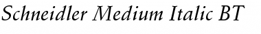 Schneidler Md BT Medium Italic Font