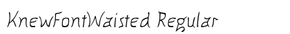 KnewFontWaisted Regular Preview
