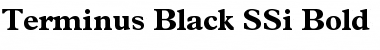 Download Terminus Black SSi Font