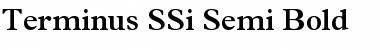 Terminus SSi Semi Bold Font