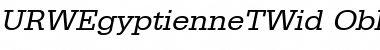 URWEgyptienneTWid Oblique Font