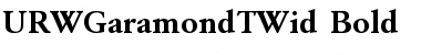 URWGaramondTWid Bold Font