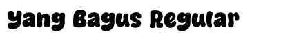 Yang Bagus Regular preview