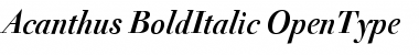 Acanthus BoldItalic Font