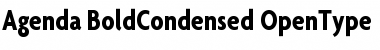 Agenda BoldCondensed Font