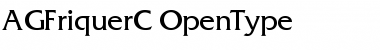 Download AGFriquerC Font