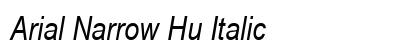 Arial Narrow Hu Italic preview