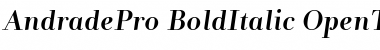 Andrade Pro Bold Italic Font