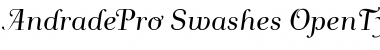 Andrade Pro Swashes Font