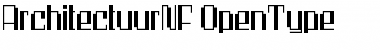 Download Architectuur NF Font