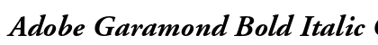 Adobe Garamond Bold Italic Oldstyle Figures preview