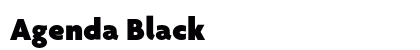Agenda Black preview