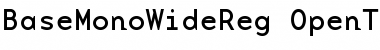 Download BaseMonoWideReg Font