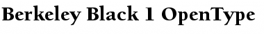 Berkeley Regular Font