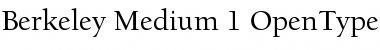 Berkeley Regular Font