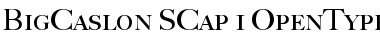 BigCaslon SCap Font