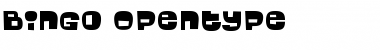 Bingo Regular Font