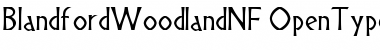 Blandford Woodland NF Regular Font