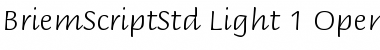 Briem Script Std Light Font