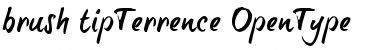 Download brush-tipTerrence Font